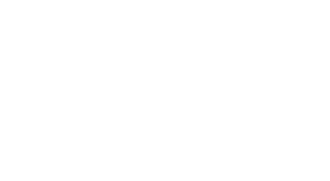 Fermax Logo
